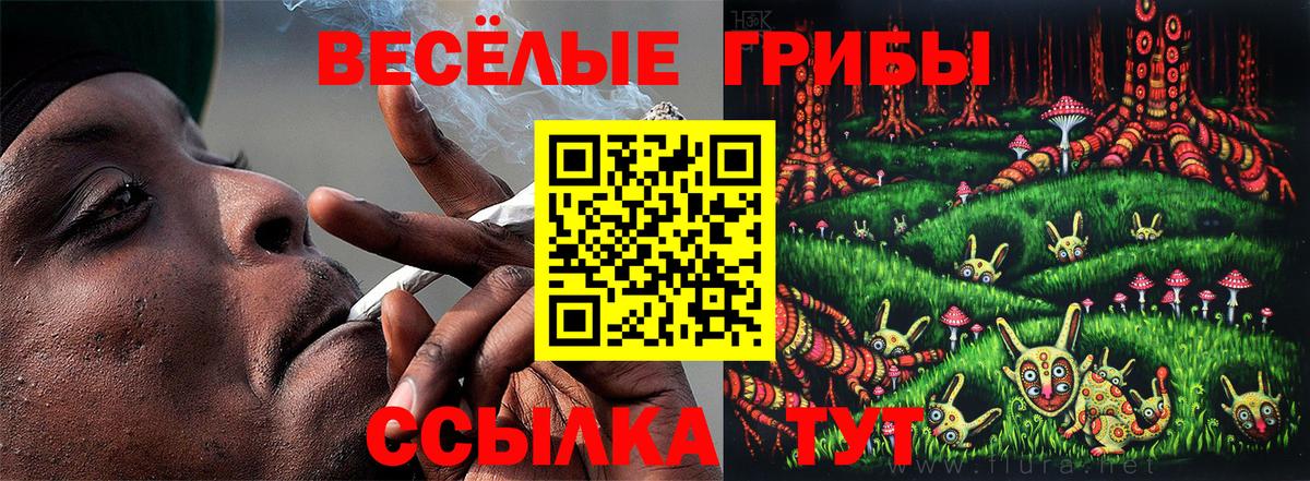 Малгобек  Псилоцибиновые грибы Cubensis  Псилоцибиновые грибы Magic Shrooms  Вход с VPN 